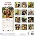 Long Haired Dachshund Calendar 2017 - Long Hair - Wirehaired - Dog Breed Calendars - 2016 - 2017 wall calendars - by Avonside