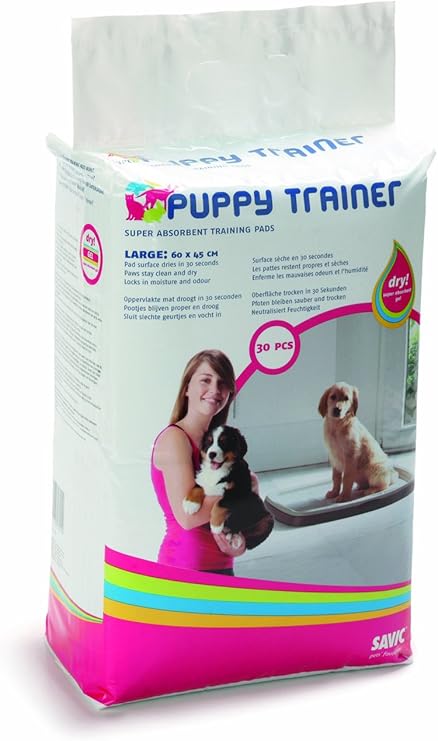 black poodle puppies for sale near me