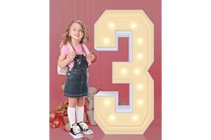 GGPL 4FT Plastic Marquee Numbers 3, Light up Numbers Made of Corrugated Plastic Board, No Tools Required, Quick Assembly, Disassembled into Blank Yard Signs, Poster Board