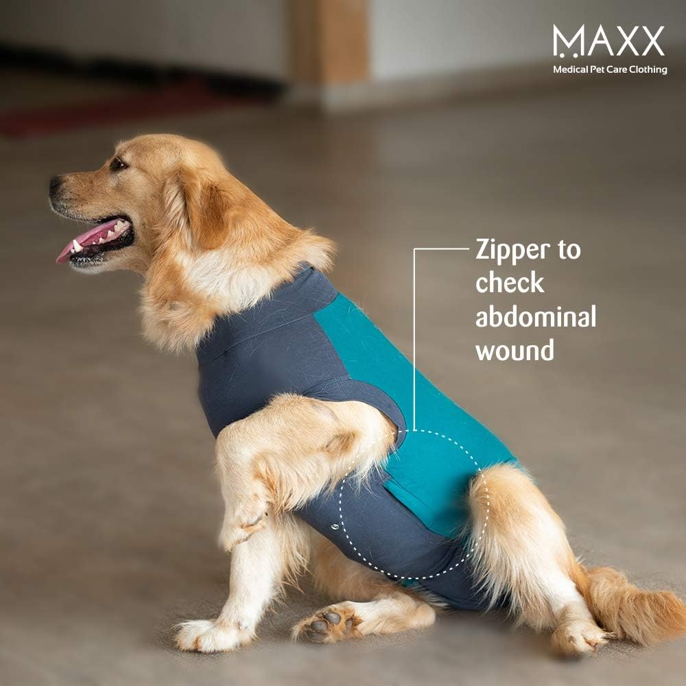 medical pet shirts canada