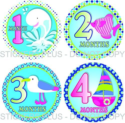 Baby Girl Month Stickers Monthly Baby Milestone Stickers Nautical Ocean Sea Life Whale Fish Seagull Bird Sail Boat