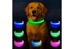 Light Up Dog Collar, Multicolor LED Dog Collar with 7 Modes, USB-C Rechargeable Reflective Glow Collar, Waterproof & Adjustab