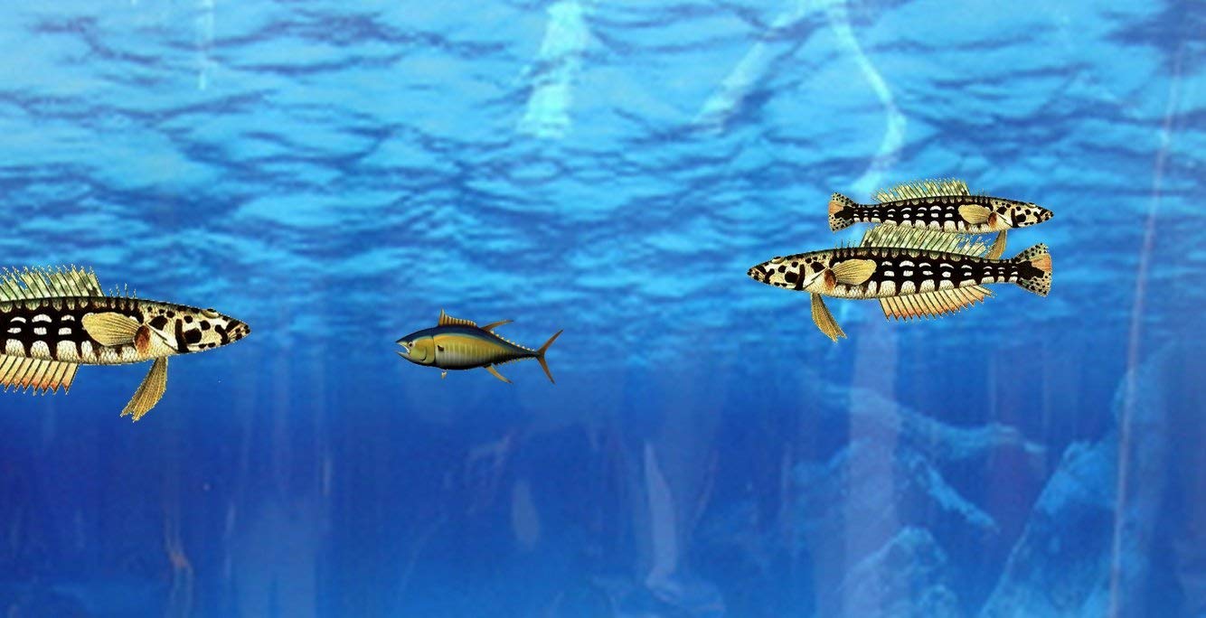 Coding for Kids: Learn to Code Javascript - Video Game Design Coding Software - Computer Programming for Kids, Ages 11-18, (PC, Mac, Chromebook Compatible)