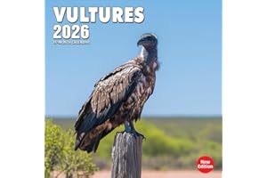 Vultures 2026 Calendar: Scavenger birds soaring above rugged terrain