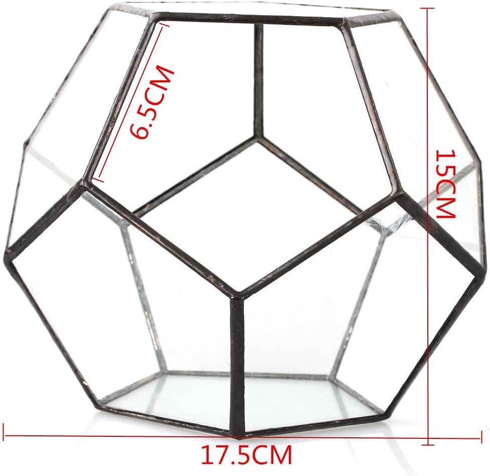 Black Glass Geometric Terrarium Container Modern Tabletop Window Sill Decor Flower Pot Balcony Planter Diy Display Box for Succulent Fern Moss Air Plants Miniature Fairy Garden Gift (No Plants): Garden & Outdoor