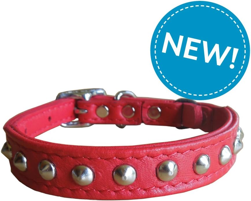 studded cat collar