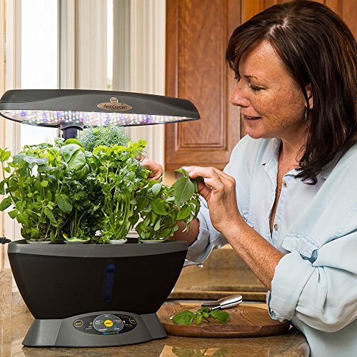 AeroGarden 6 - Black (901016-1200) - Image 6