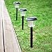 Solar Lights Outdoor, Oak Leaf Solar Pathway Lights LED Landscape Lighting Outdoor for Patio Yard Lawn Path Deck Backyard, 5 lumens, 4x bright, Warm White (Yellowish), 8-Pack