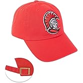 Desert Cactus University of Tampa Baseball Hat UT Spartans Brimmed Embroidered Hats Cap Adjustable Cloth Strap Adult (Style 2) Red