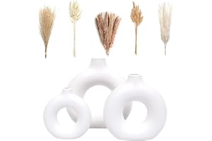 VELOVA Set of 3 White Ceramic Vase with 65 PCS Dried Pampas Grass Flowers Aesthetic Boho Modern Small Round Cute Vases for Decor Living Room Coffee Table Shelf Bedroom Office Desk Home Gifts Women Mom