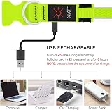 YFbrite Light Up Dog Collar LED USB Rechargeable Green Large view 3
