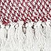 DII 100% Cotton Basket Weave Throw for Indoor/Outdoor Use Camping Bbq's Beaches Everyday Blanket, 50 x 60, Woven Stripe