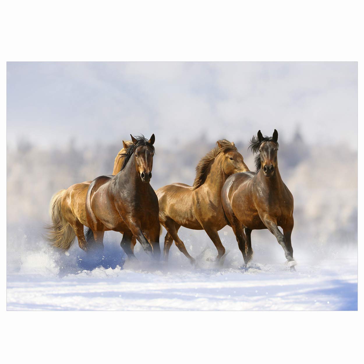 Equestrian Christmas Cards - Pack of 10 - One Design