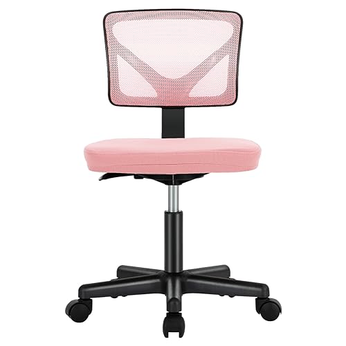Sweetcrispy Office Computer Desk Chair, Ergonomic Low-Back Mesh