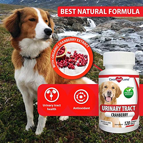 Cranberry for Dogs 120 Chewable Tablets Urinary Tract Support