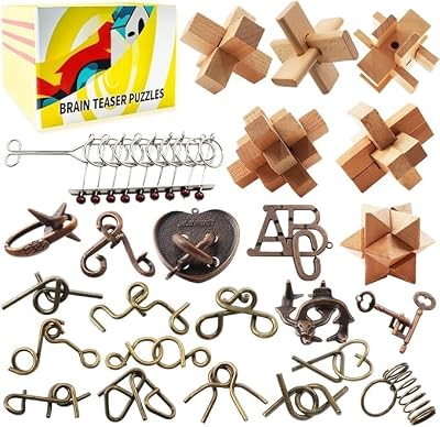 24 Peças de Mentalidade para Crianças, Adolescentes e Adultos – Brinquedos Educativos em Metal e Madeira, Jogos de Inserção 3D para QI e Lógica com Tarefas Desafiantes