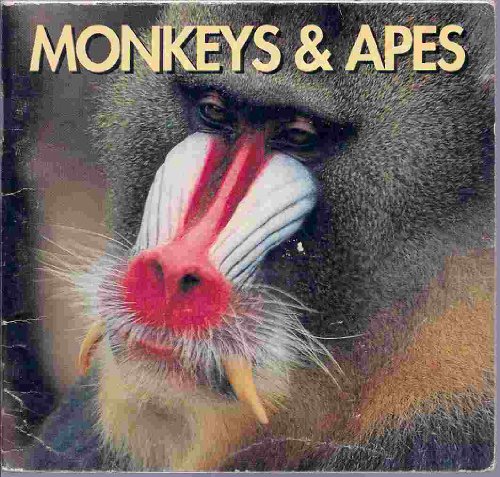 Monkeys & Apes