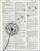 Dictionary Art Print - Dandelion Flower Make a Wish in the Wind Botanical Illustration- Printed on Recycled Vintage Dictionary Paper - 8.5