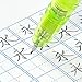 Zebra Mechanical Pencil, Del Guard, 0.7mm, Black (P-MAB85-BK)