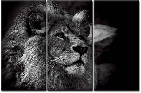 Impression Sur Toile Motif Tete De Lion Noir Et Blanc Gris Amazon Ca Maison Et Cuisine