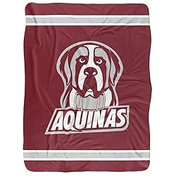 Aquinas College Blanket, 60"x80" Primary Logo Silky