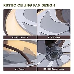 LUDOMIDE Ceiling Fan with Lights and
