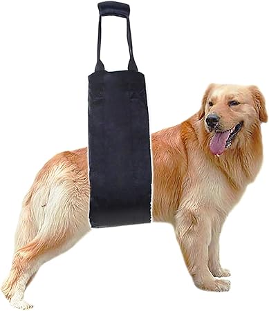 dog hip brace amazon