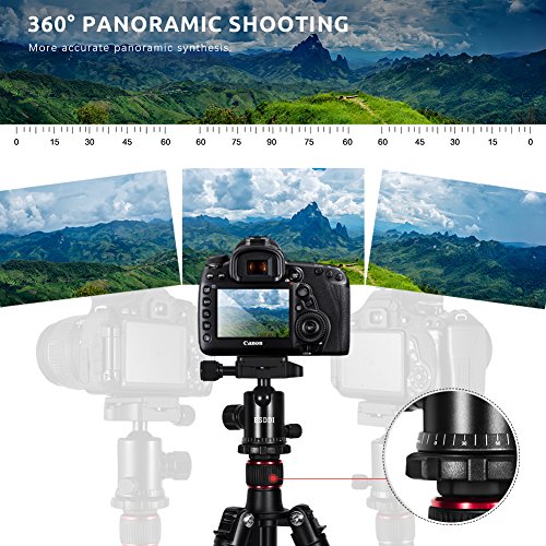 3 ESDDI+Aluminum+Monopod+Professional+Panasonic