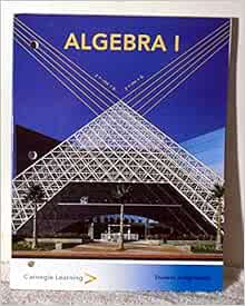 CARNEGIE LEARNING ALGEBRA 1 ANSWER KEY PDF visual data 8