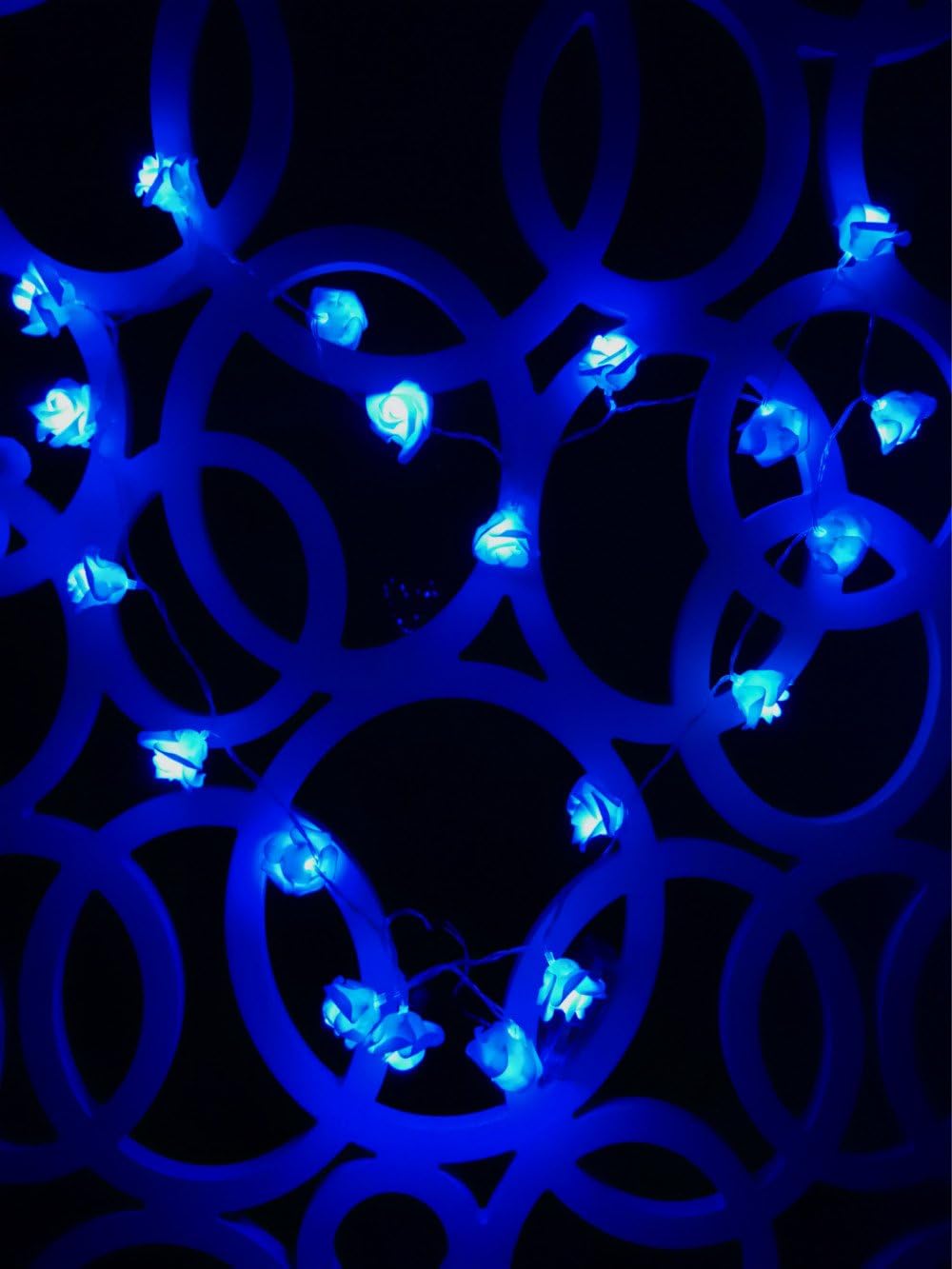 Fantasee LED Rose Flower String Lights Battery Operated - Image 3