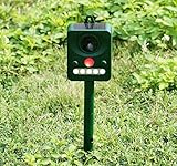 Ruichenxi Ultrasonic Solar Pest Repeller Pest Control Outdoor animal repellent For Birds, Dogs, Cats, Mice,Squirrels, Rabbits, Skunks, Bats, Rats, Foxes, Raccoons