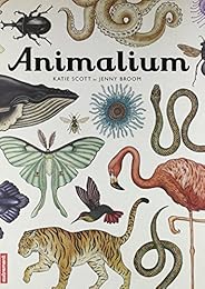 Animalium