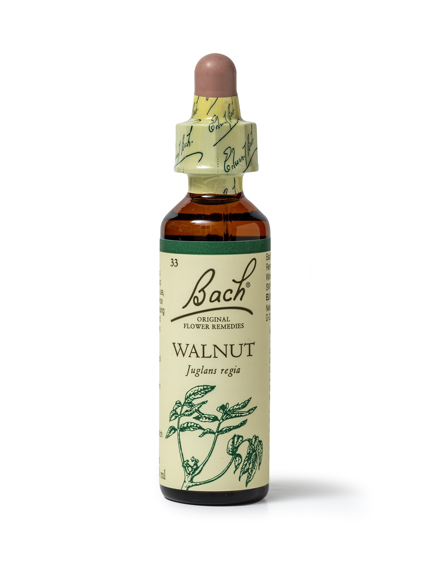 Bach Original Flower Remedies Walnut, Stand Your Ground, Accept Change, Emotional Wellness, Natural Flower Essence, 20ml