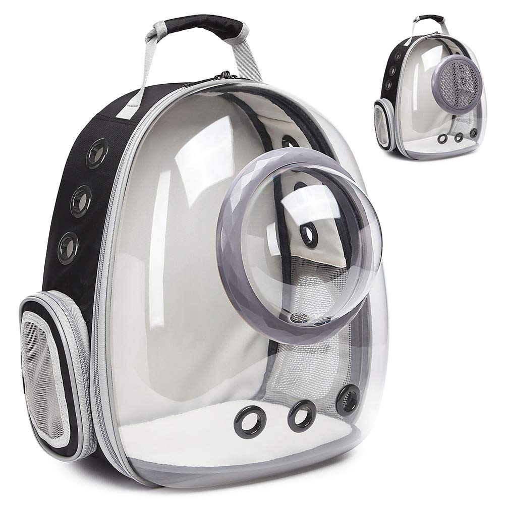 kitten backpack carrier