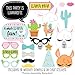 Big Dot of Happiness Whole Llama Fun - Llama Fiesta Baby Shower or Birthday Party Photo Booth Props Kit - 20 Count