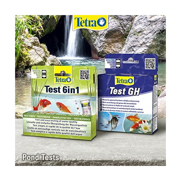 Tetra Pond Test 6-in-1 Strip, to Test 6 Essential Water Quality Parameters in Less Than 60 Seconds (25 Strips),White