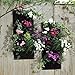 Amrka Pocket Vertical Garden Planter, Living Wall Planter, Vertical Greening Hanging Planters, Planting Bag for Outdoor & Indoor Herb Pot, Vegetable, Flower Gardens (Pocket Number: 4 Pockets)thumb 2