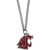 NCAA Chain Necklace with Small Charm, 20"