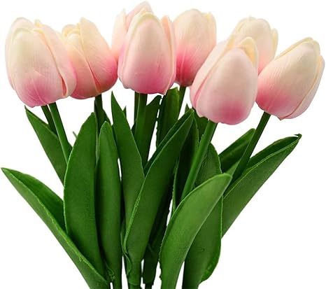 Amazon Co Jp チューリップ 球根 5種類の魔法の花の新鮮なチューリップの鉢植えの装飾 春のサプライズブルーミング 優れた切り花 4 5球根 Diy 工具 ガーデン