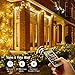 TaoTronics 33ft 100 LED String Lights Plug In 2 Pack Dimmable with Remote Control, Waterproof Decorative Lights for Bedroom, Patio, Garden, Gate, Yard, Parties, Wedding(Copper Wire Lights, Warm White)