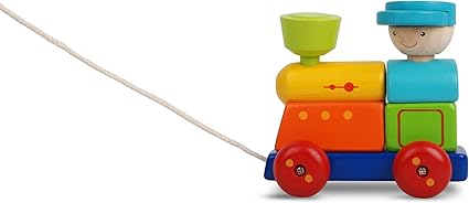 PLANTOYS 5119 ソーティングトレイン | 手押し車 