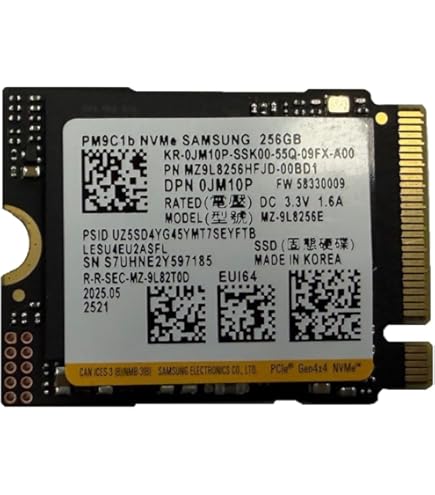 Amazon.com: OEM Hyn PVC10 256GB M.2 PCI-e GEN 4X4 NVME SSD