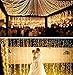 Autolizer 200 LED WHITE Fairy String Lights Lamp for Xmas Tree Holiday Wedding Party Decoration Halloween Showcase Displays Restaurant or Bar and Home Garden - Control up to 8 modes