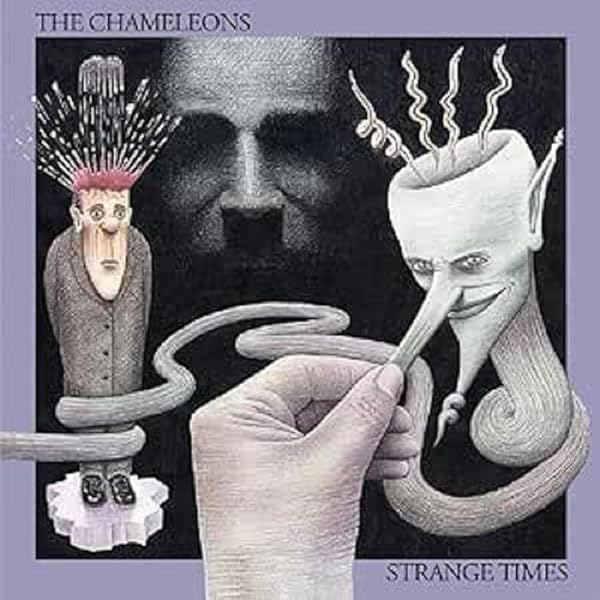 Chameleons - What Does Anything Mean - Basically - Amazon