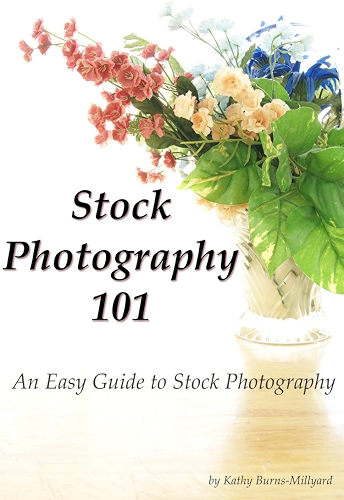 Download Stock Photography 101: An Easy Guide to Stock Photography (English Edition) PDF