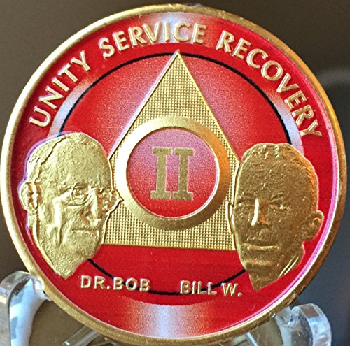 2 Year Founders AA Medallion Red Gold Plated Chip