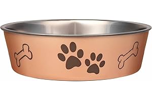 Loving Pets Bella Dog Bowls- Stainless Steel Dog & Cat Bowls - Spill Proof Dog Food Bowl, Cat Bowl, Puppy Essentials & Pet Supplies Great for Home & Travel (Medium 20-35 lbs, Champagne)