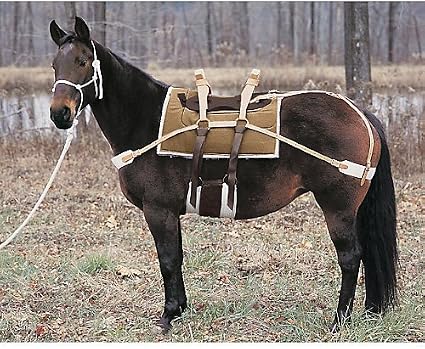 Amazon.com : Weaver Double Rigged Sawbuck Pack Saddle : Sports ...