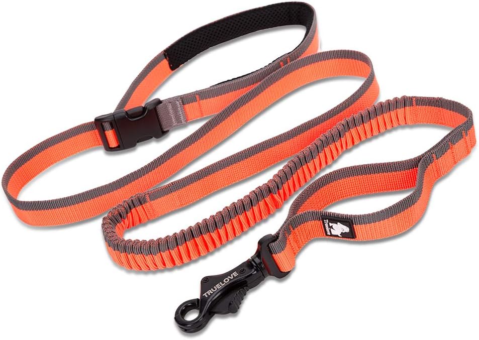 Truelove Bungee Dog Lead Hands Free Leash Adjustable Elastic Shock Absorbing Long Cord TLL2271(L, Orange)