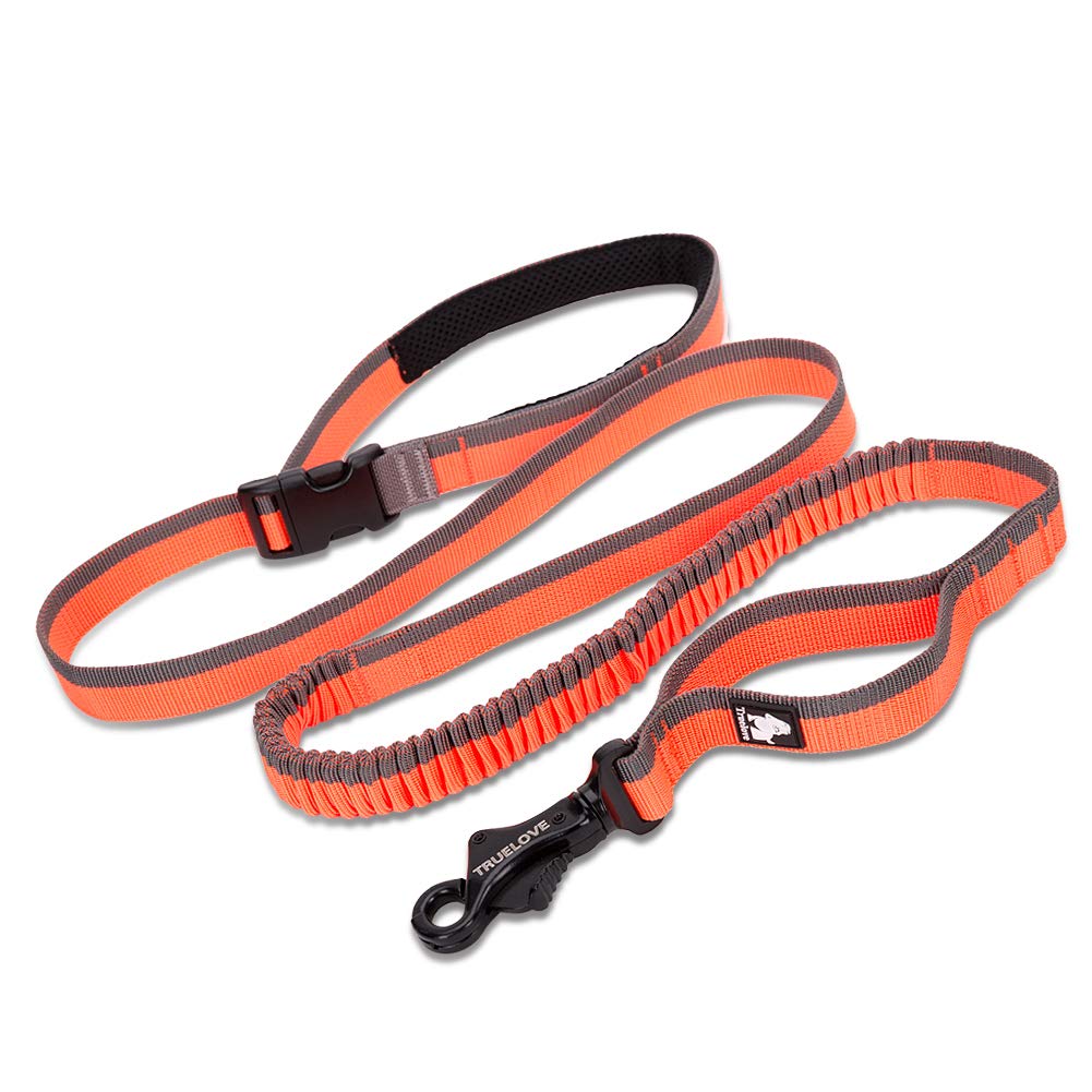 Truelove Bungee Dog Lead Hands Free Leash Adjustable Elastic Shock Absorbing Long Cord TLL2271 (M, Orange) — image 1